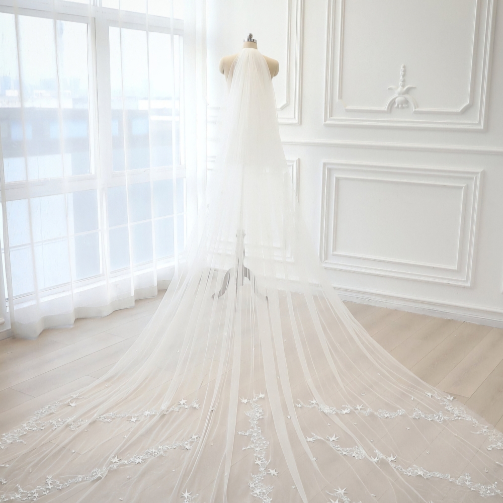 Elegant White Bridal Veil with Delicate Lace Embellishments